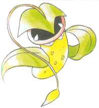 Victreebell